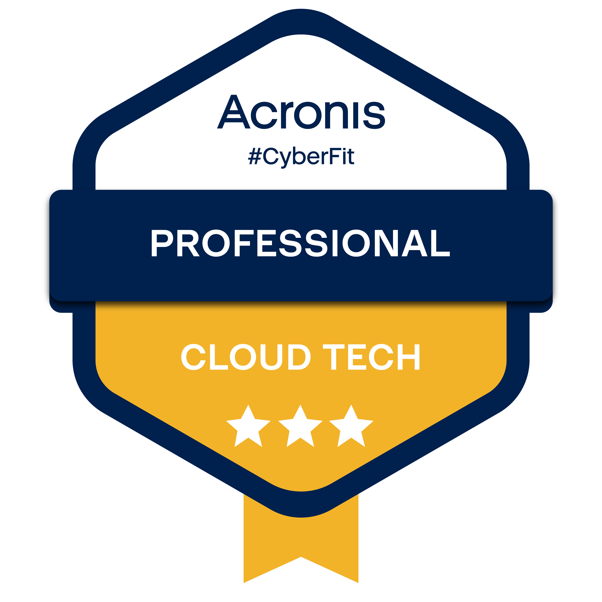 Acronis Cyber Professional